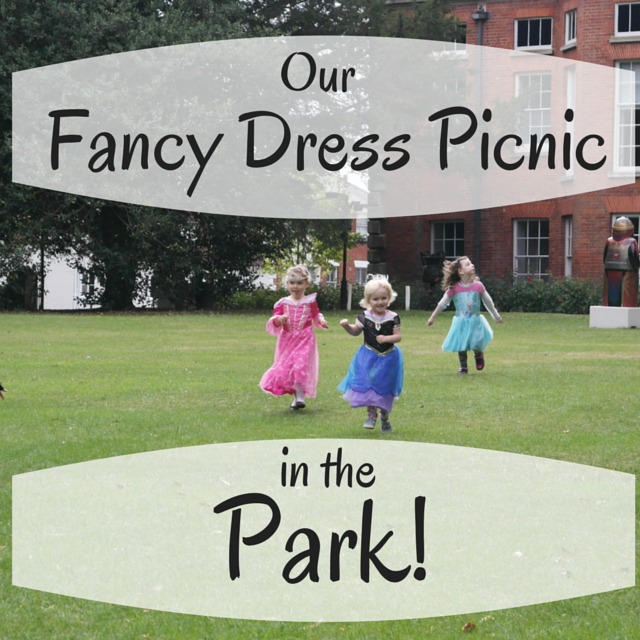 fancy dress picnic park