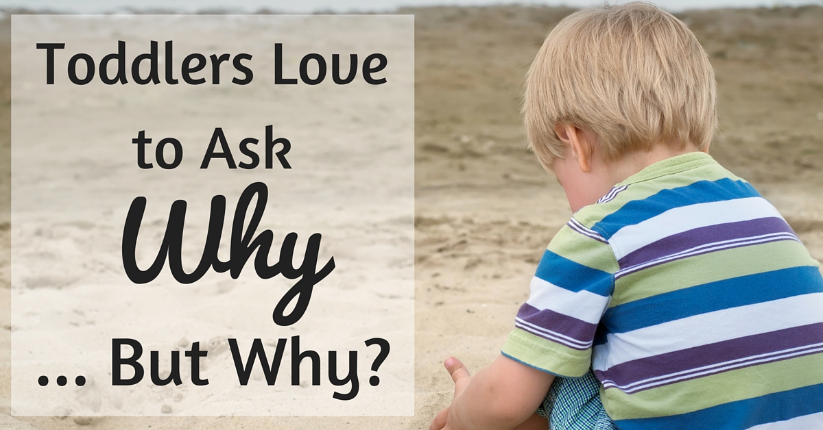 toddlers-ask-why