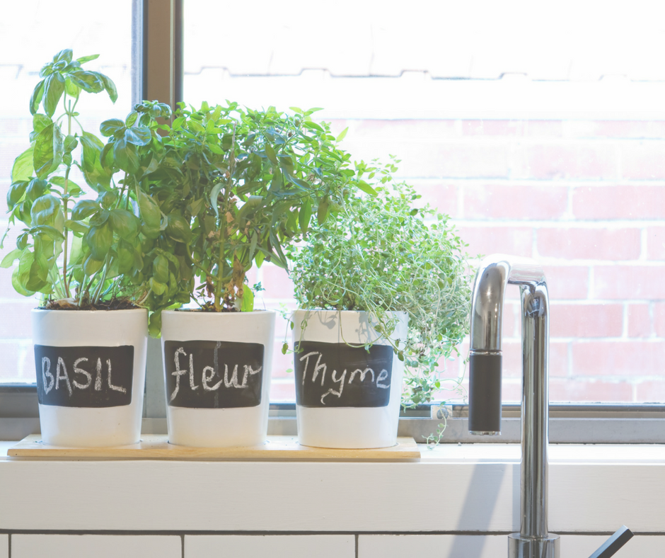 herbs kitchen window