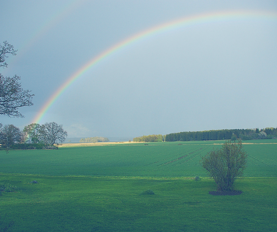 positivity-rainbow-social-media